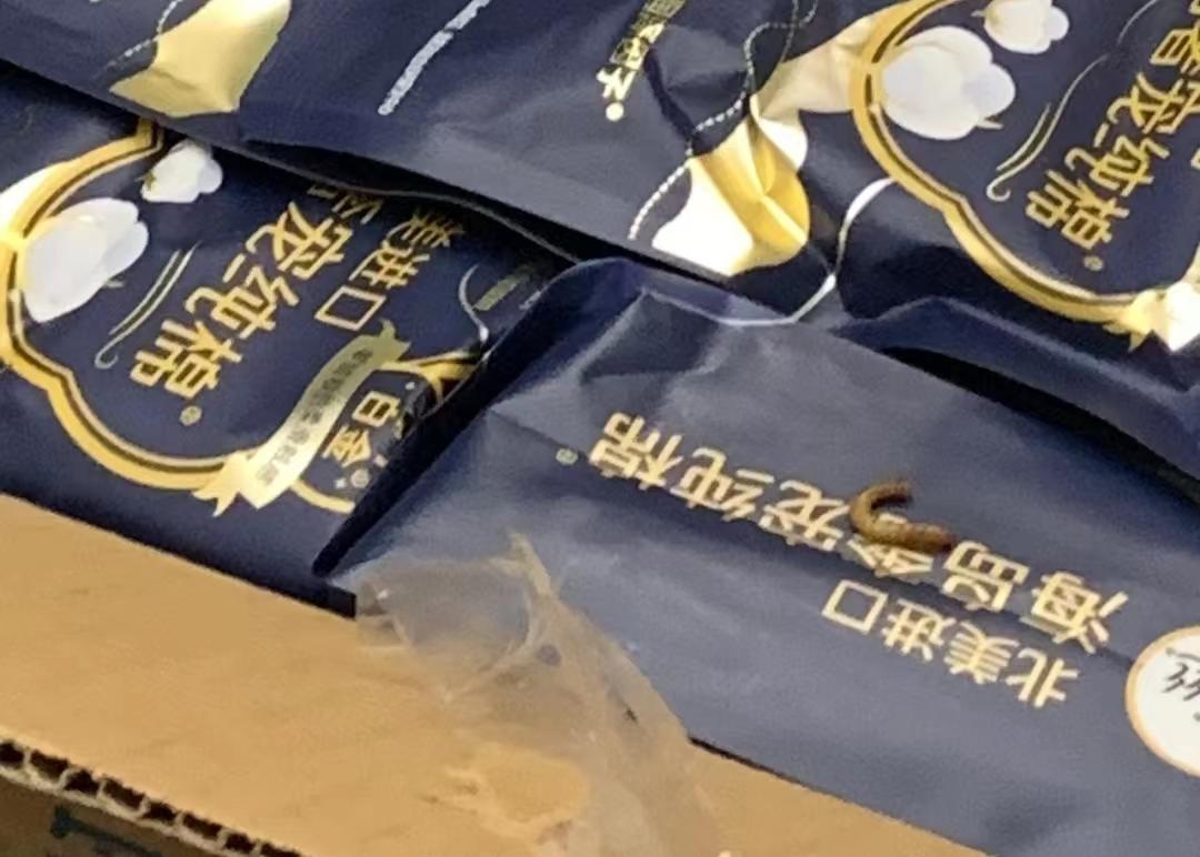 时隔半年，高洁丝的虫卵长成了虫？