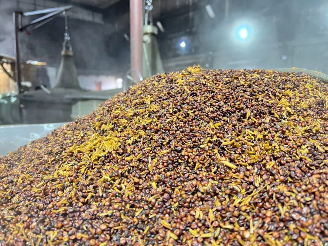 浓香阵营：不能让汾酒成为下一个茅台！