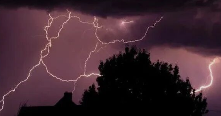 粮油一哥，卷入50亿诈骗案