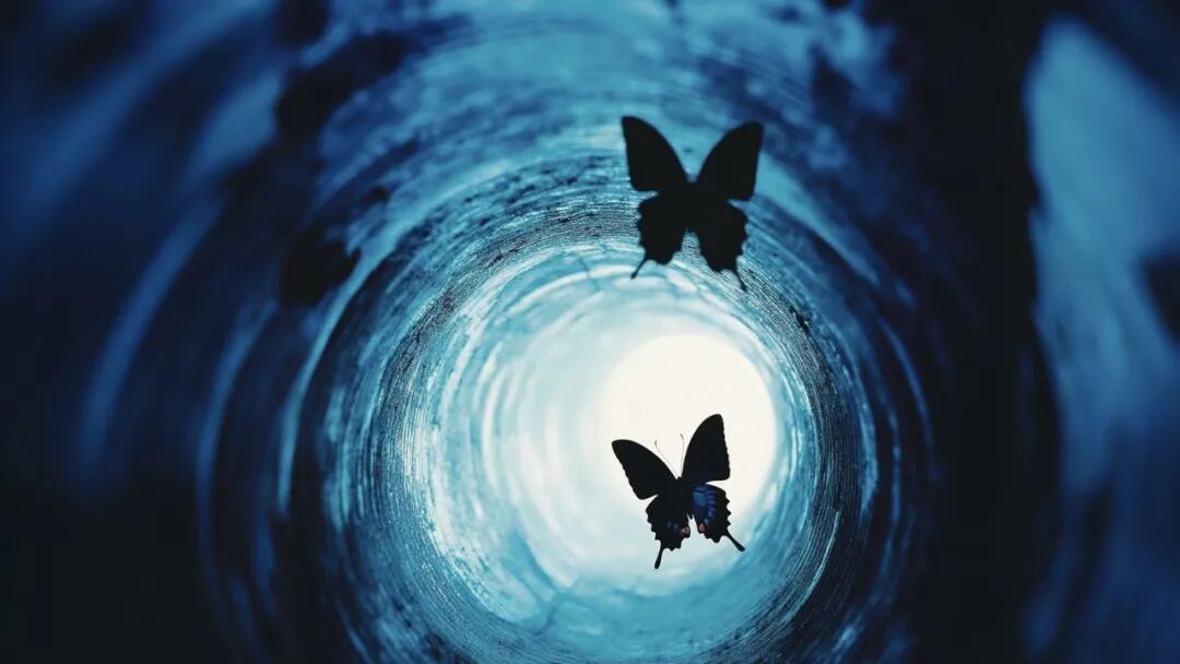 蝴蝶效应：一场收购背后的中国AI创业“第二阶段”